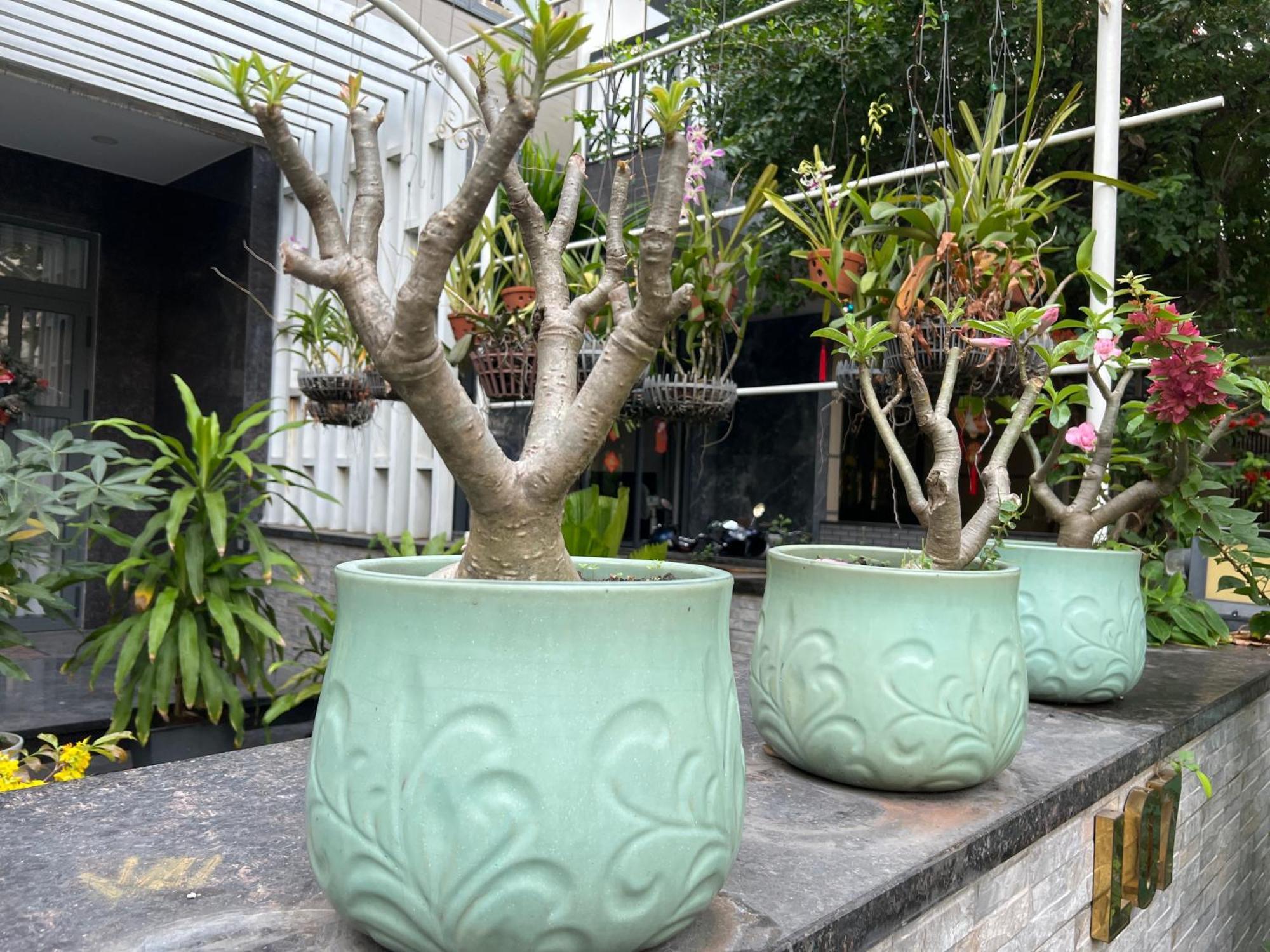 Home Resort With Full Amenities 胡志明市 外观 照片